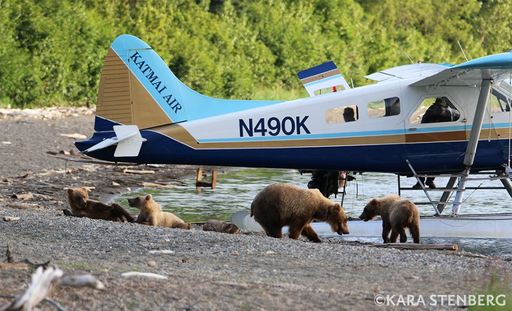 Brooks Lodge Float Plane and Bear Jam