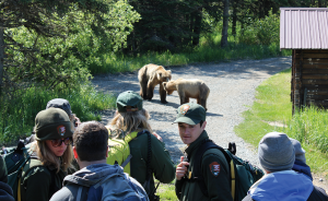 Brooks Lodge Bear Jam and Park Service