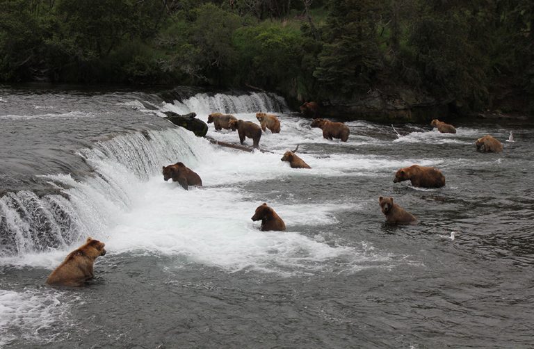 The Lodge Brooks Lodge